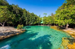 Krabi Emerald Pool