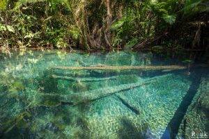 Krabi Kayaking Lagoon 