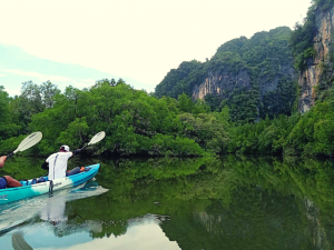 Krabi Kayaking Tour at Ban Bar Thor