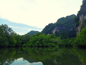 Krabi Kayaking Tour at Ban Bar Thor