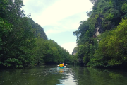 Krabi Kayaking at Bar Thor Ancient Cave & Mangroves - Image 7