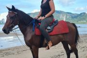 Krabi Horse riding - Image 3