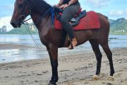 Krabi Horse riding - Image 5