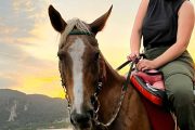 Krabi Horse riding - Image 7