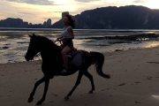 Krabi Horse riding - Image 9