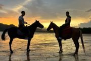 Krabi Horse riding - Image 12