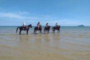 Krabi Horse riding - Image 14