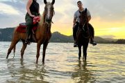 Krabi Horse riding - Image 15