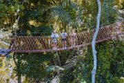 Phuket Zipline - Image 10